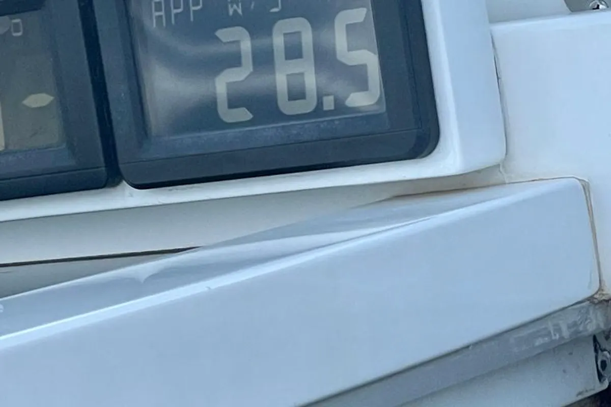 Baltic 87 SHAYA 21