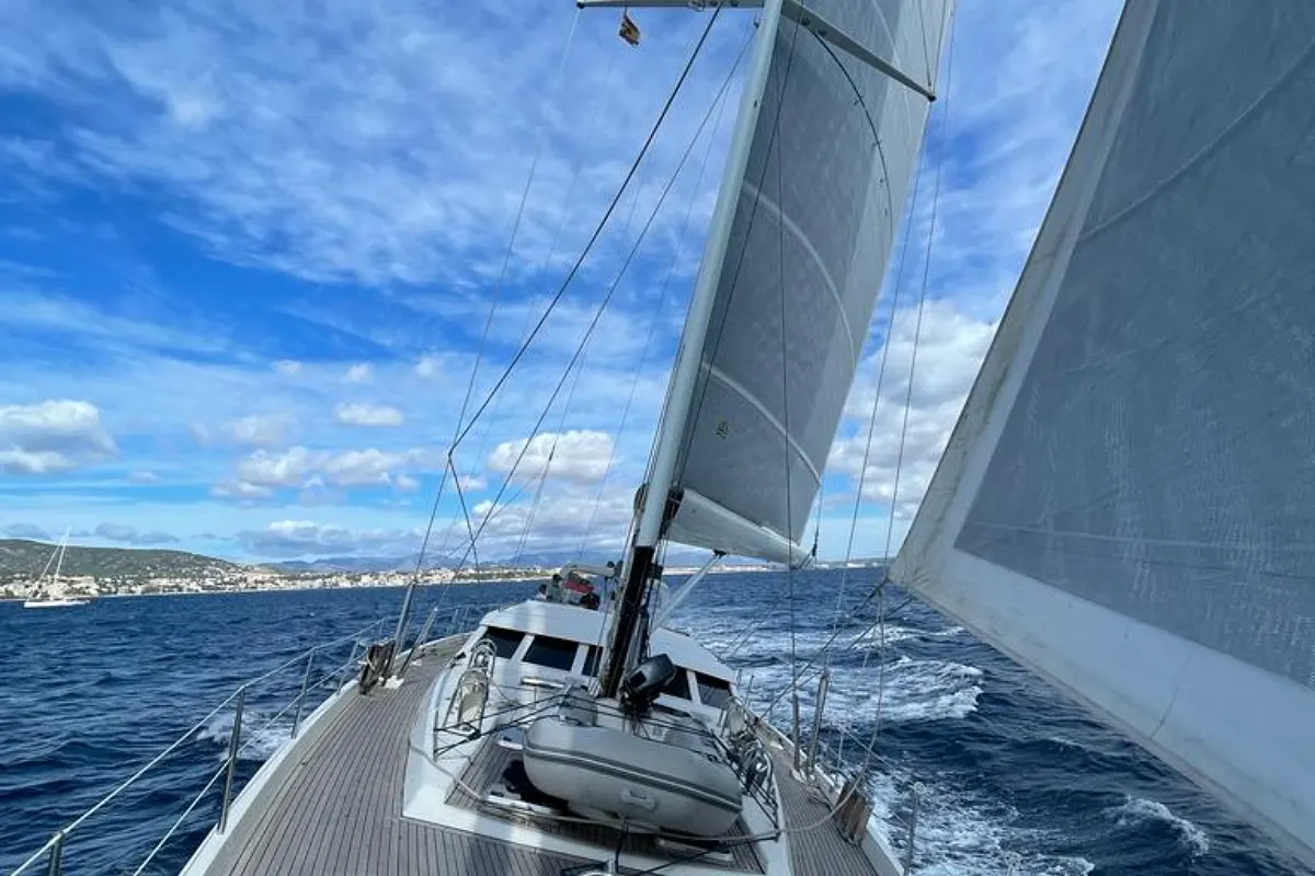 Baltic 87 SHAYA 19