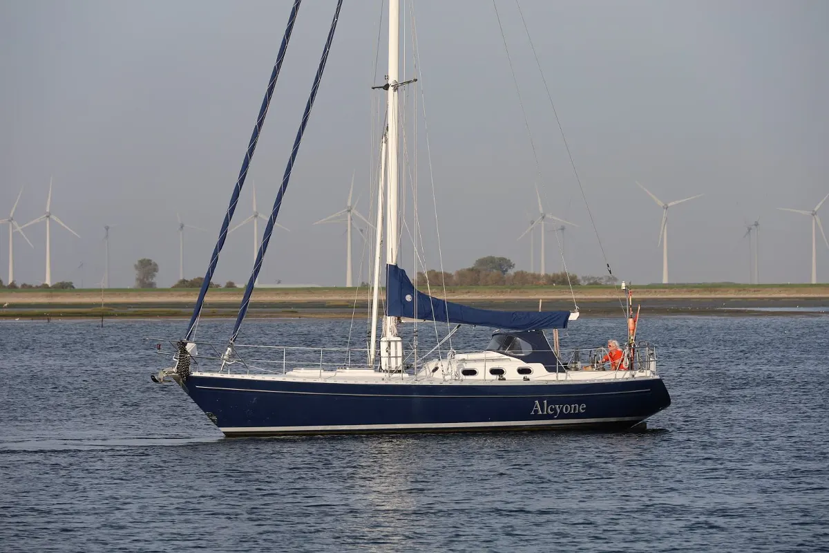 Koopmans 40 4