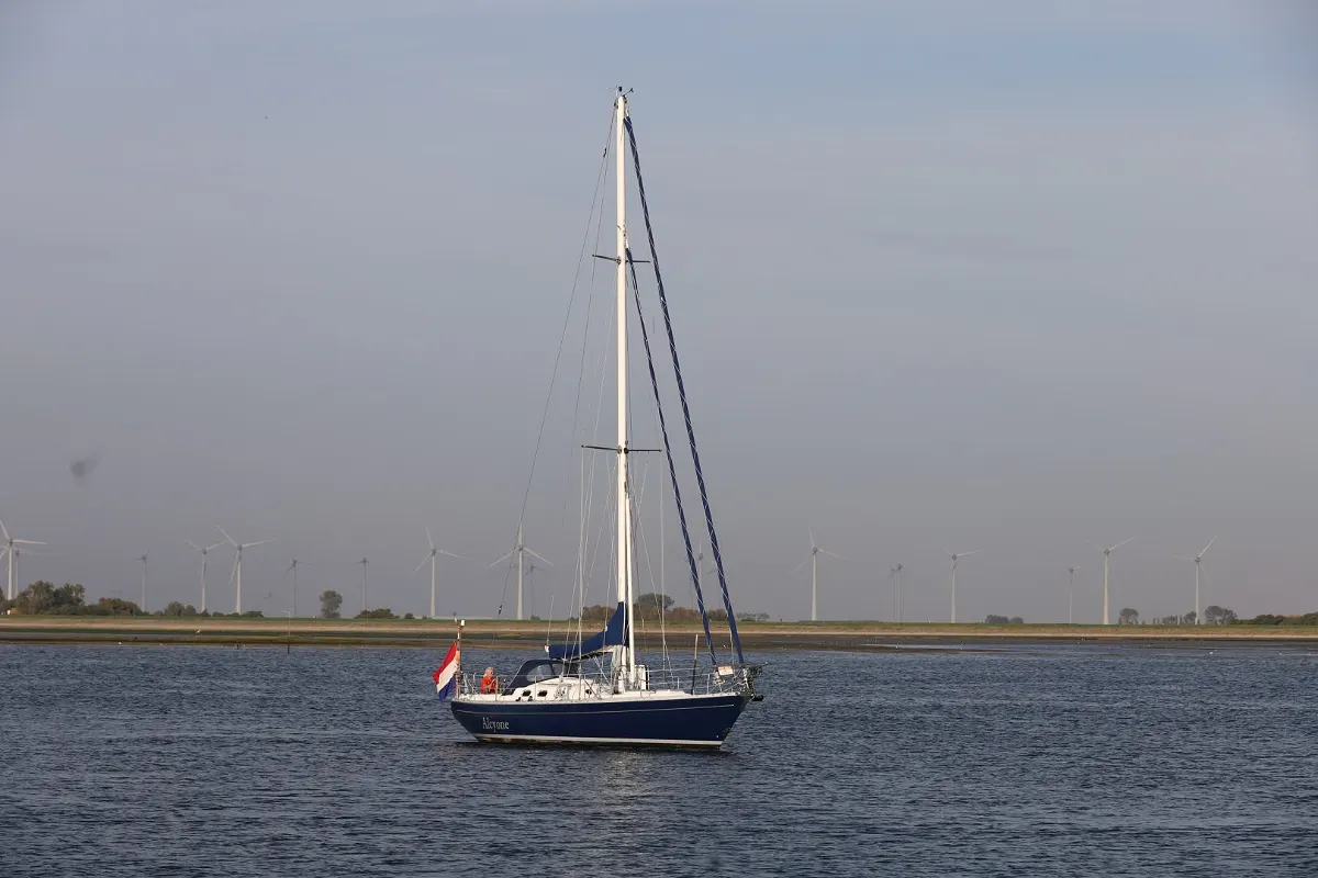 Koopmans 40 22