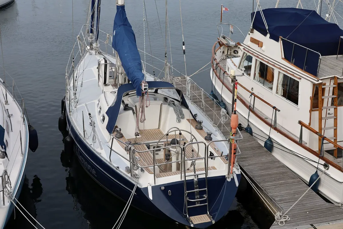 Koopmans 40 24