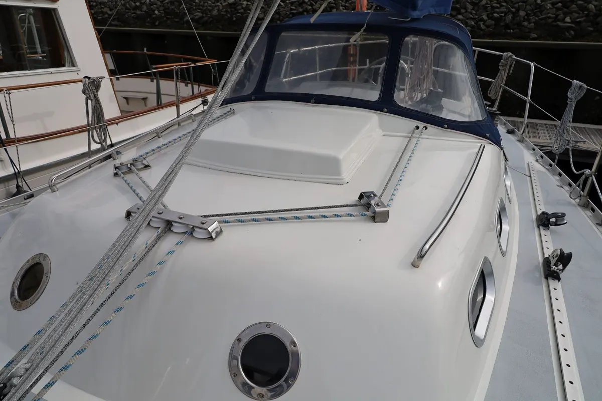 Koopmans 40 50