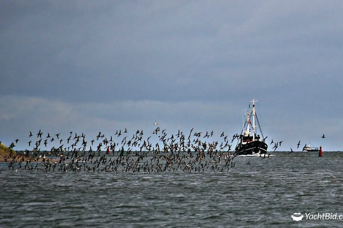 Dutch Trawler Yacht 47