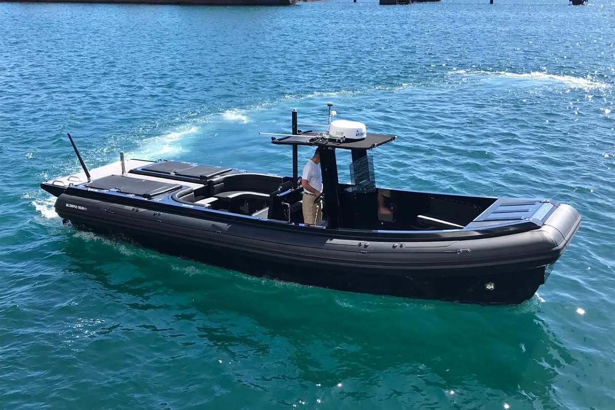 Blue Spirit 1050 RIB Tender 46