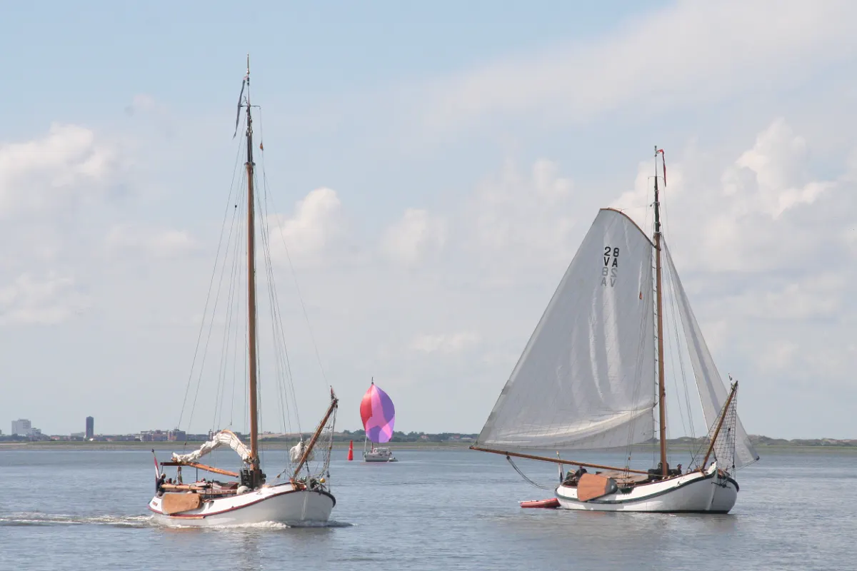14,5m Lemsteraak Halley 45