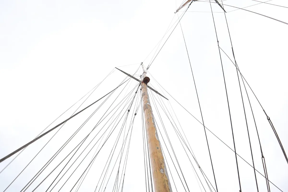 Olivier Van Meer 143 ''ZACA A TE MOANA'' 48
