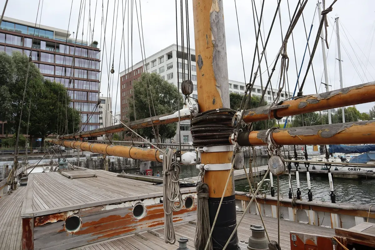 Olivier Van Meer 143 ''ZACA A TE MOANA'' 50
