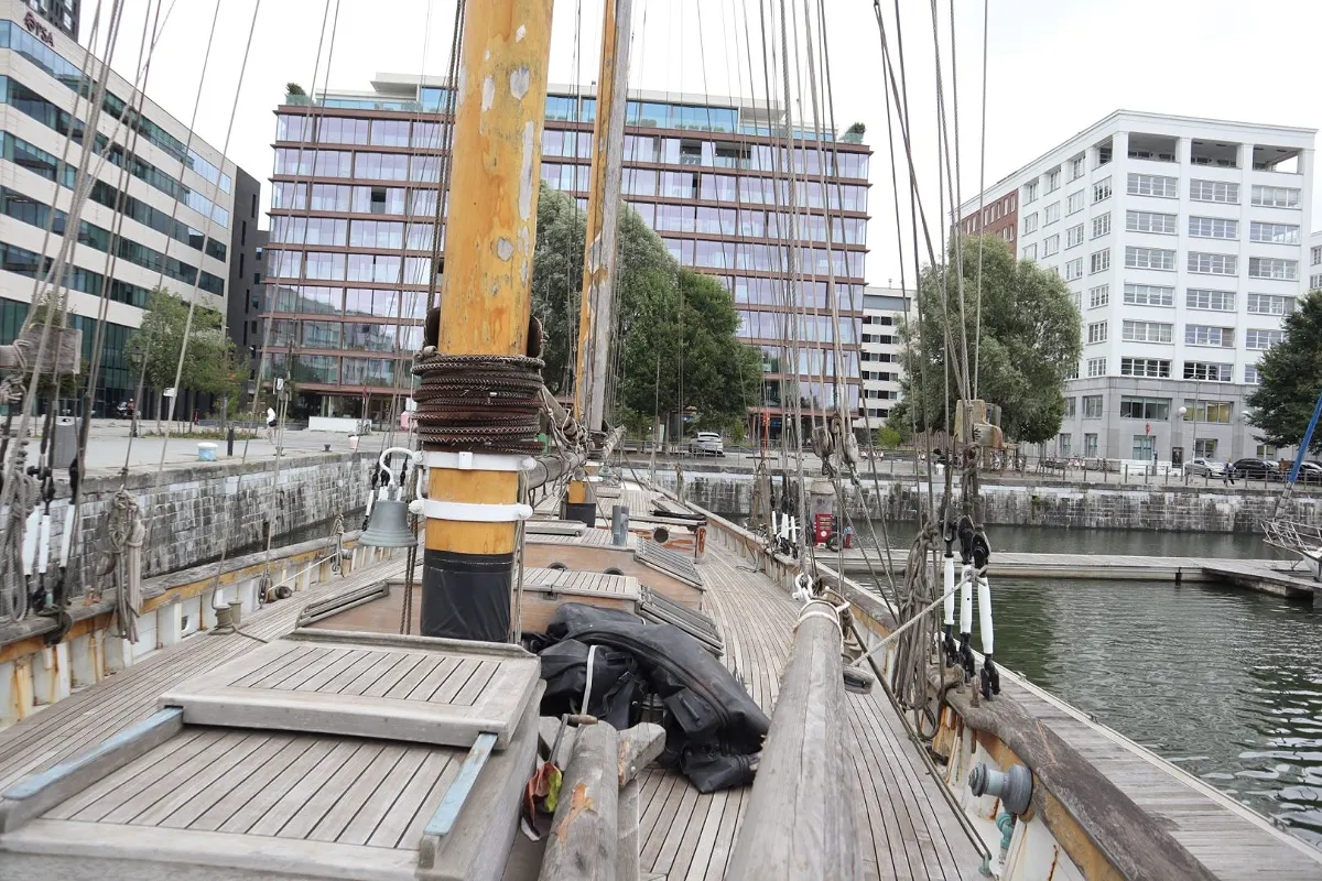Olivier Van Meer 143 ''ZACA A TE MOANA'' 81
