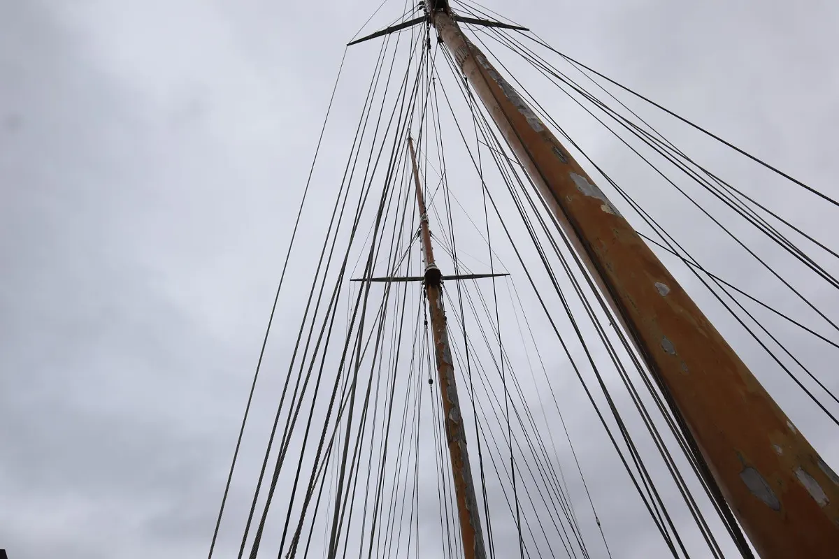 Olivier Van Meer 143 ''ZACA A TE MOANA'' 83
