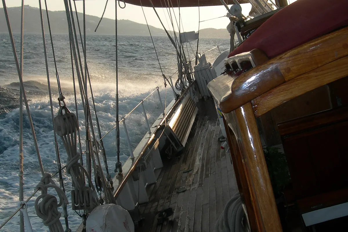 Molich Sailing BARINIA 31