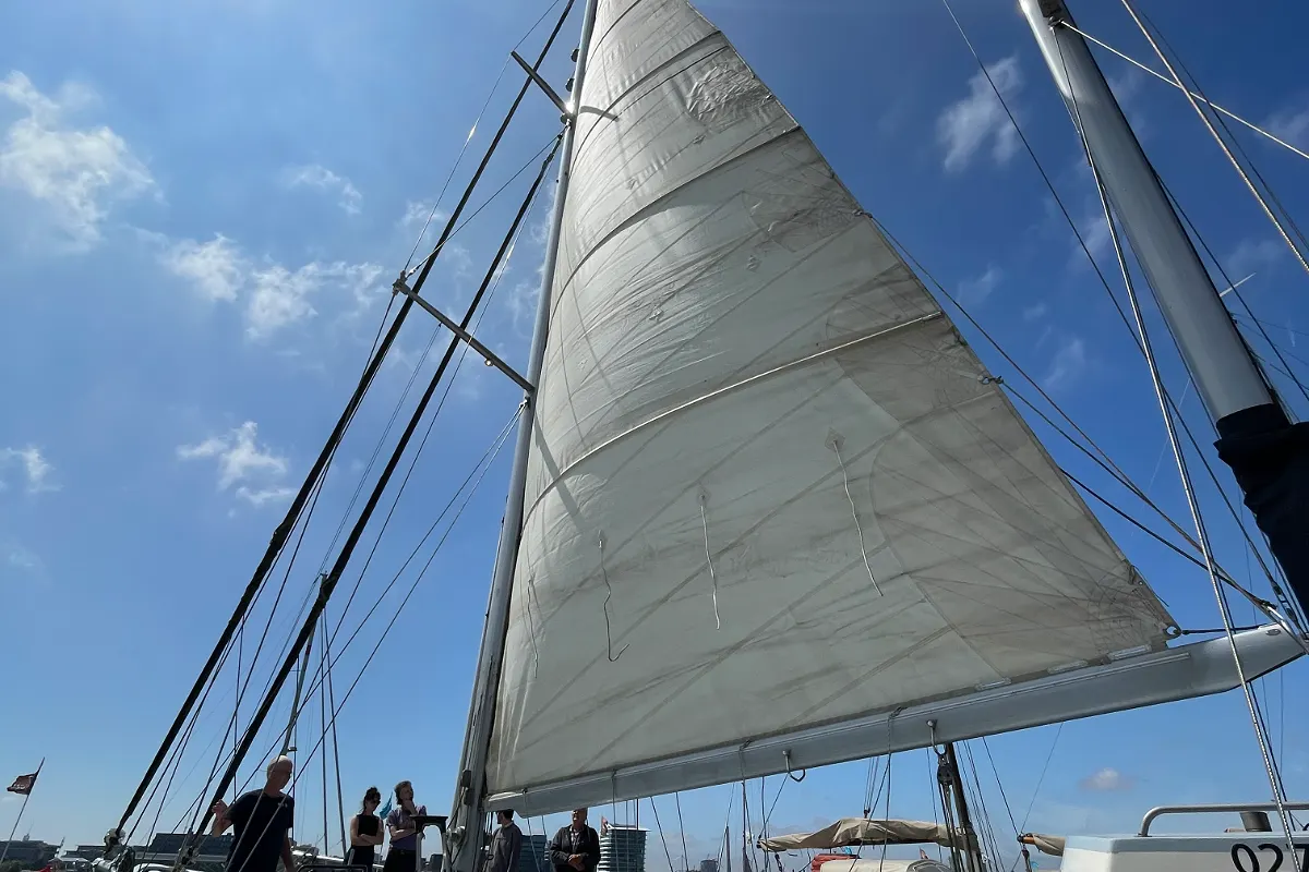 Dykstra Schooner 77 8