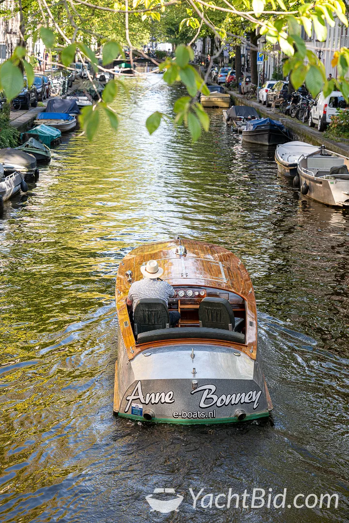 Ned Craft Runabout speedboot en sportcruiser – foto 7 – kavel bij YachtBid, Amsterdam