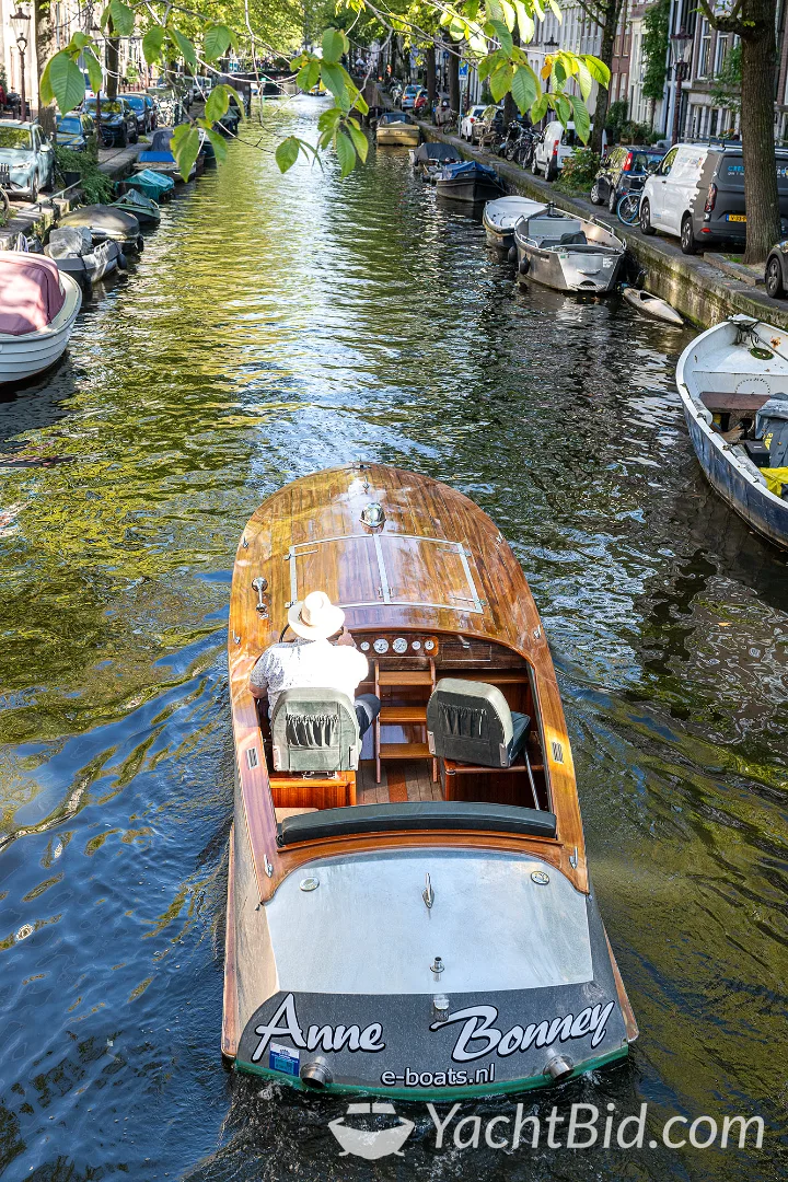 Ned Craft Runabout speedboot en sportcruiser – foto 6 – kavel bij YachtBid, Amsterdam